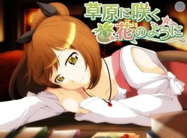 【日系RPG/AI汉化】就像草地上盛开的花朵1.0【PC+安卓/692M】-illusion中国 - - i社游戏-illusion中文汉化官方网站